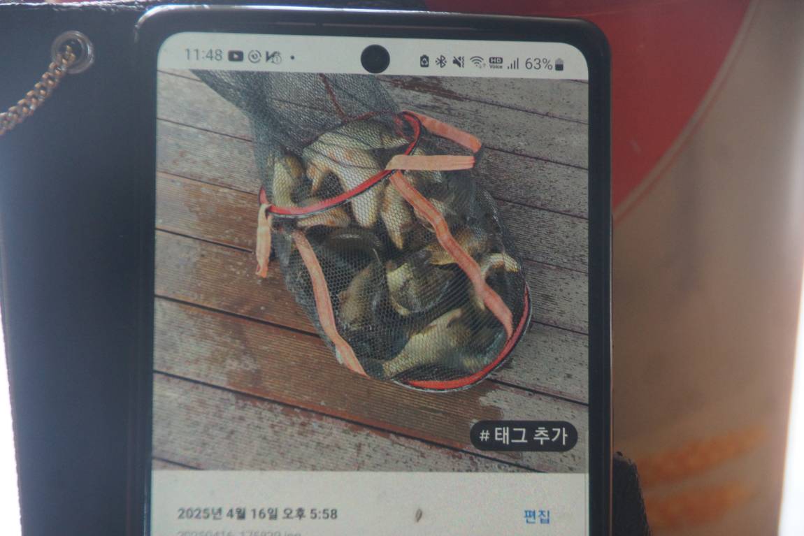 DSC09372.JPG