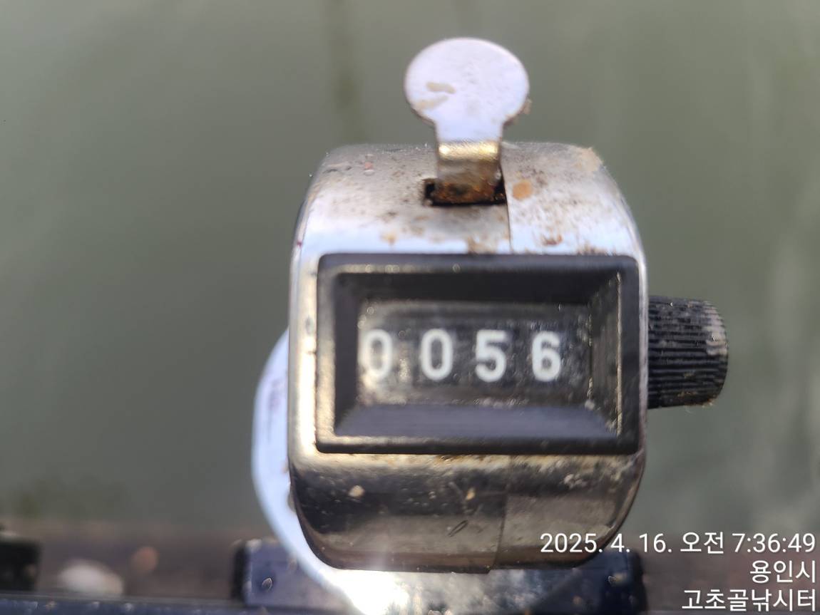 1744875515912-5.jpg