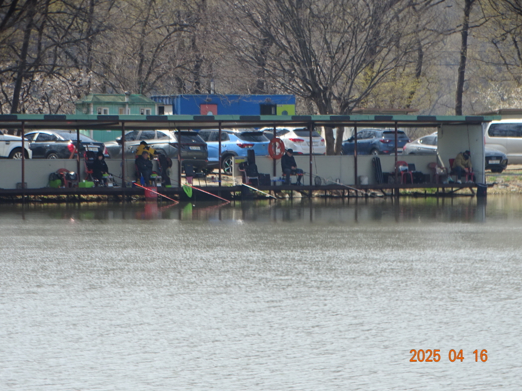 DSC00652.JPG