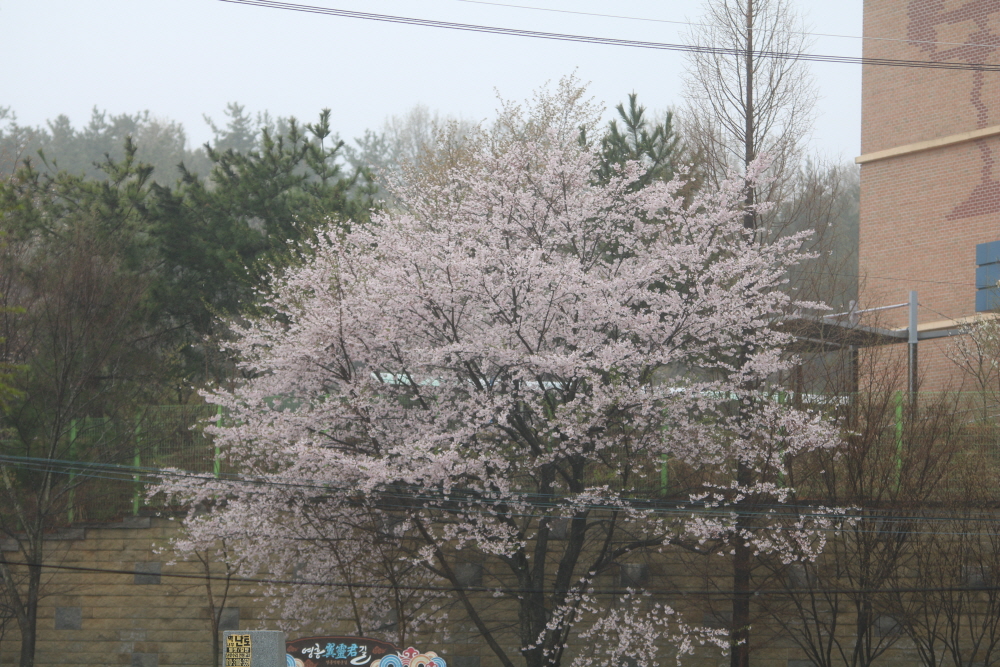 [크기변환]IMG_2545.JPG