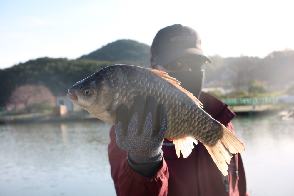 [크기변환]IMG_2762.JPG