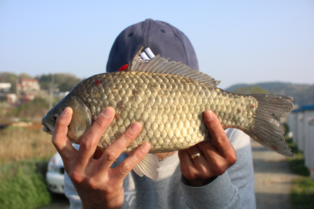 [크기변환]IMG_2888.JPG
