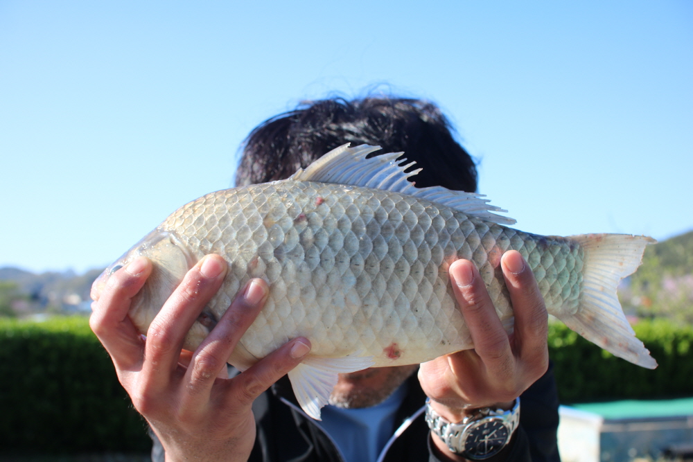 [크기변환]IMG_2884.JPG