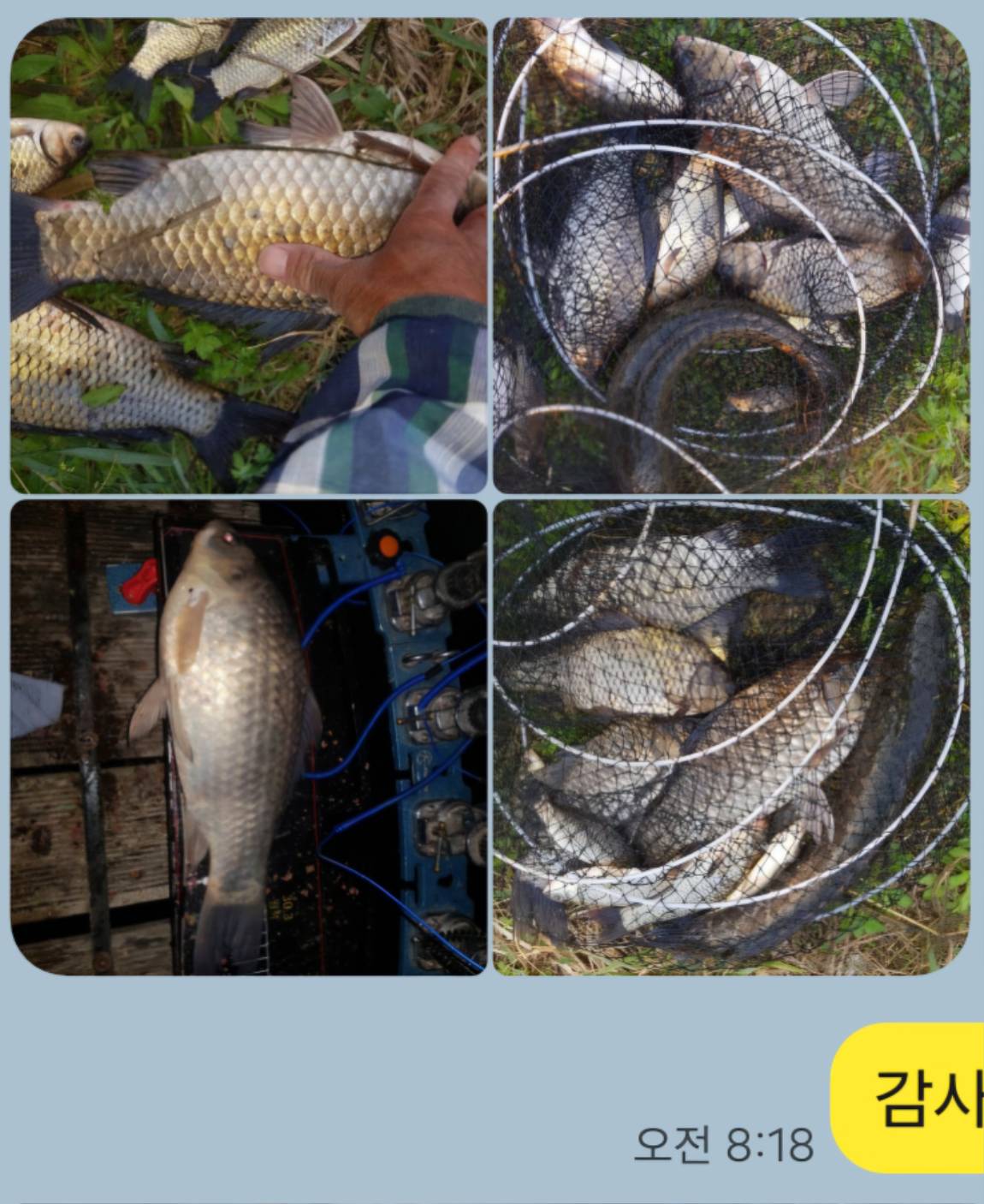 Screenshot_20250426_052610_KakaoTalk.jpg