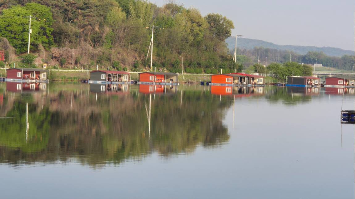 20250427_065151.jpg