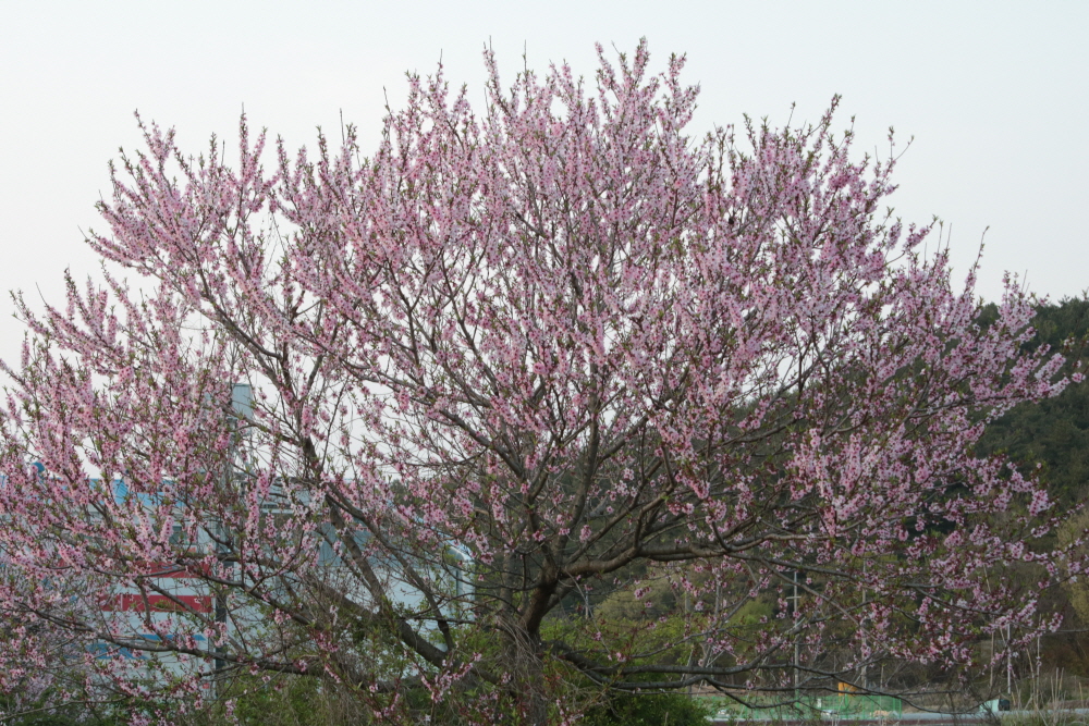 [크기변환]IMG_3050.JPG
