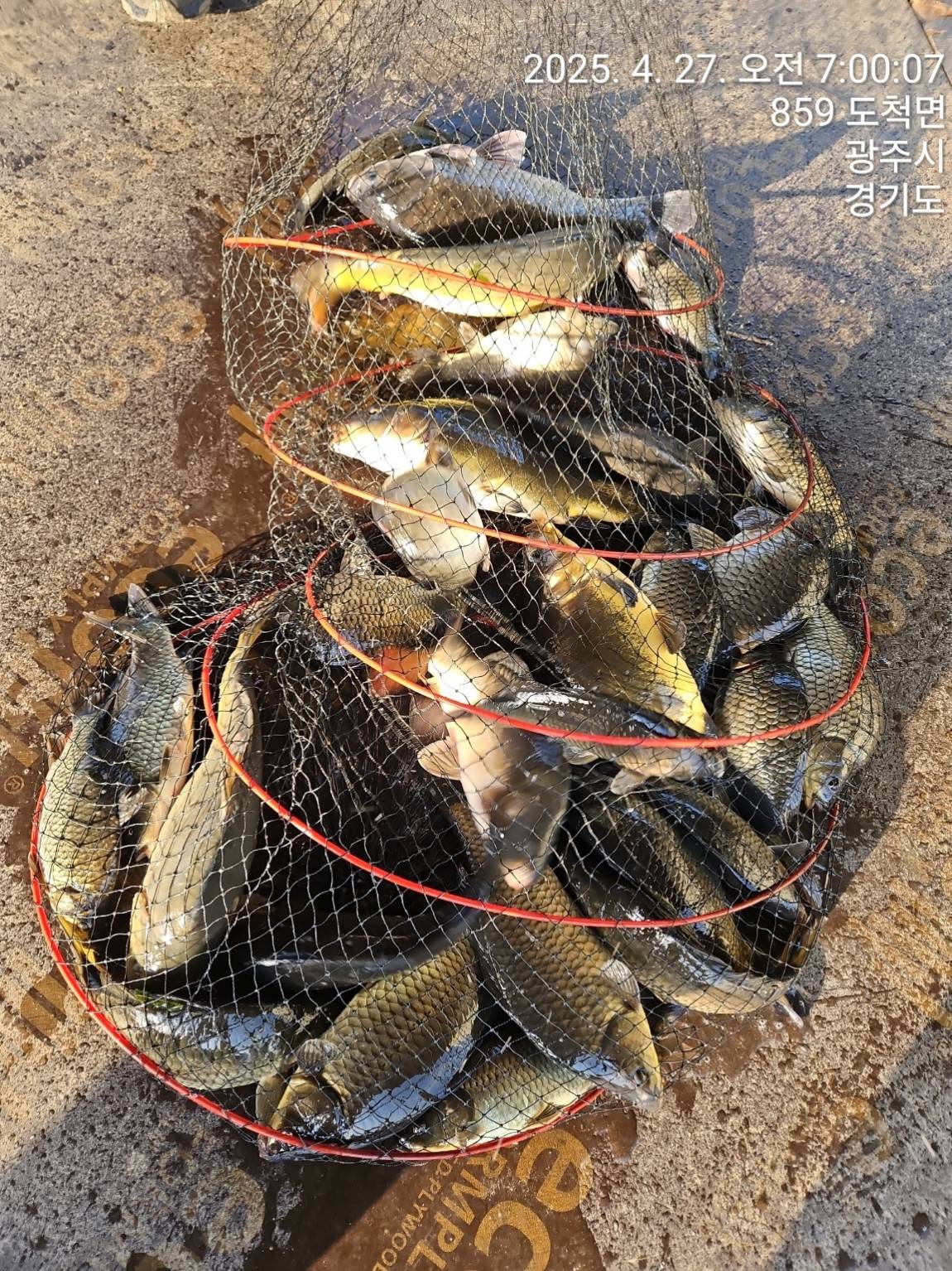 KakaoTalk_20250427_144746201.jpg