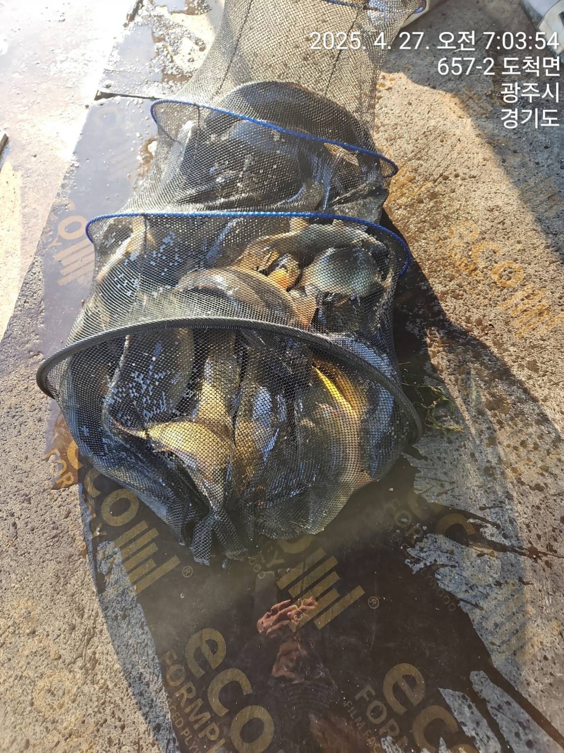 KakaoTalk_20250427_144730483.jpg