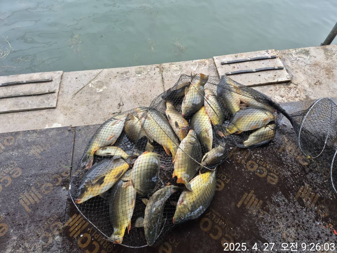KakaoTalk_20250428_102708227_01.jpg