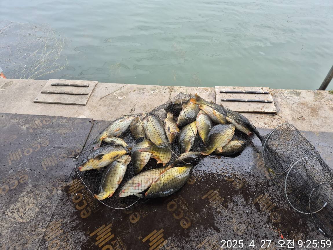 KakaoTalk_20250428_102708227_02.jpg