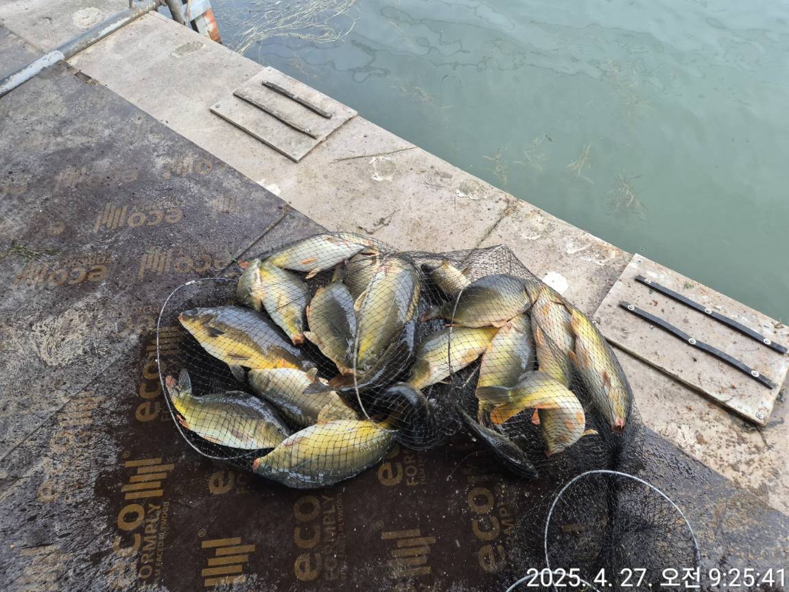 KakaoTalk_20250428_102708227_05.jpg