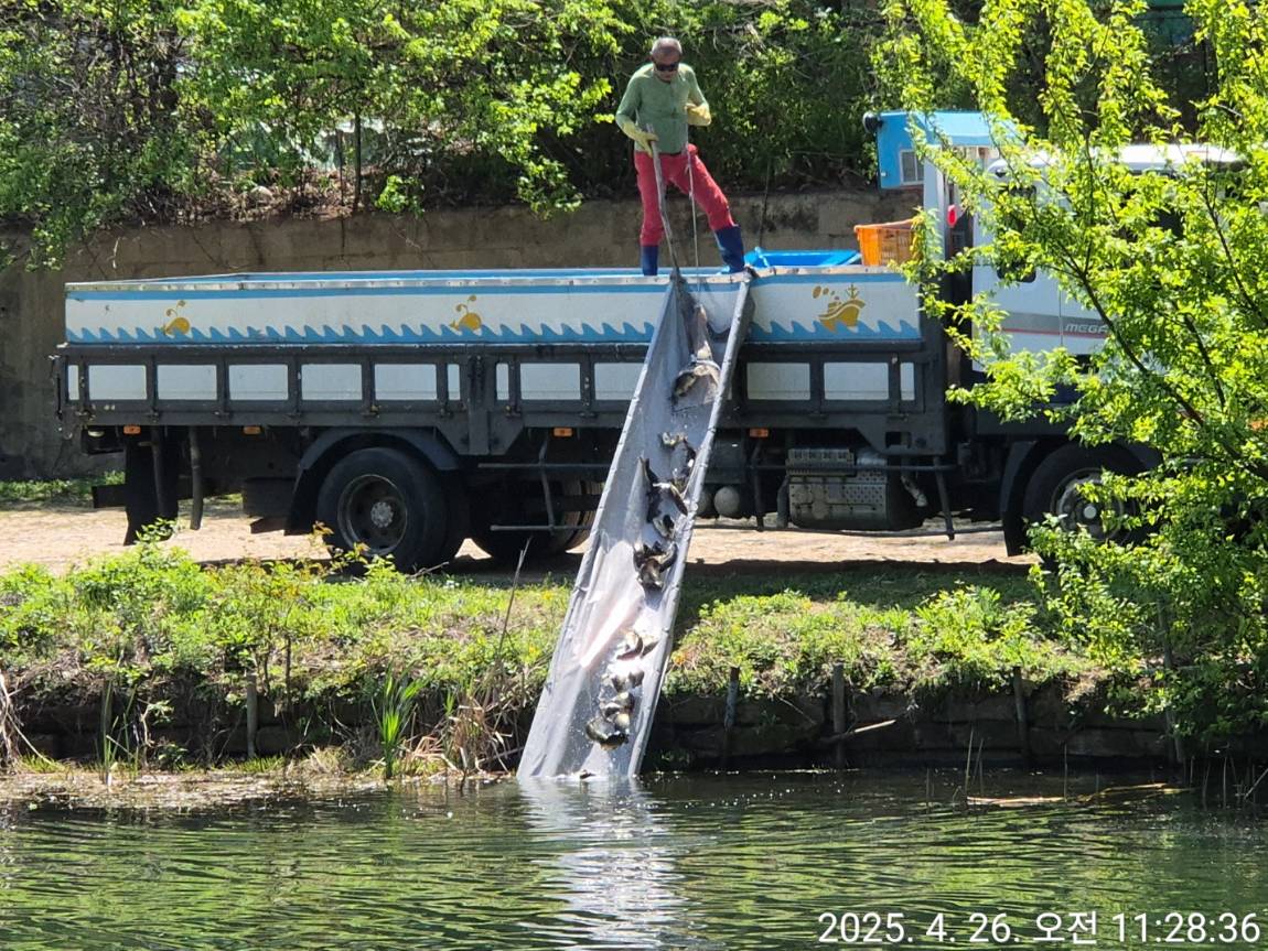 KakaoTalk_20250428_102755287.jpg