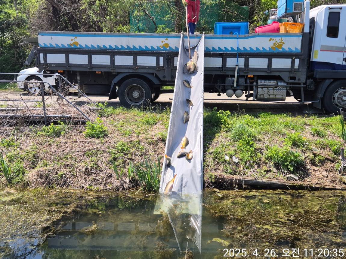 KakaoTalk_20250428_102755287_20 (1).jpg