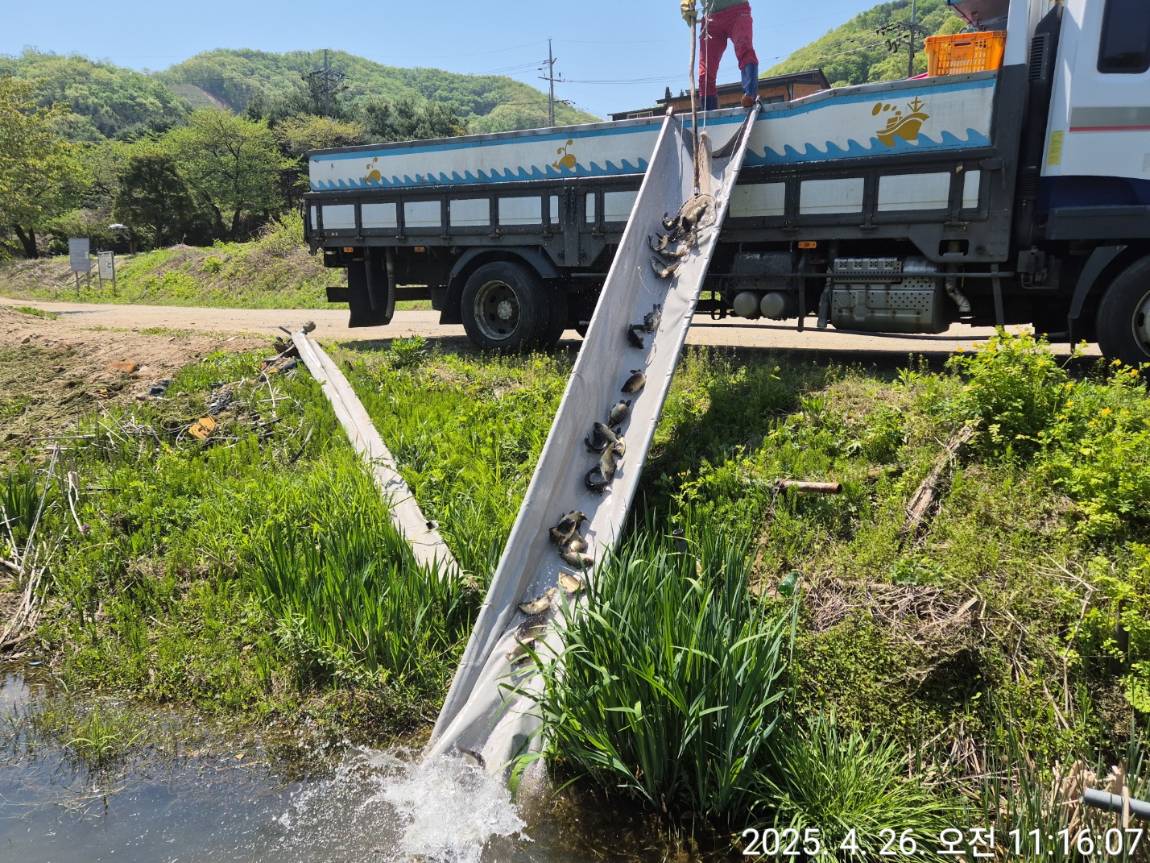 KakaoTalk_20250428_102755287_22 (1).jpg