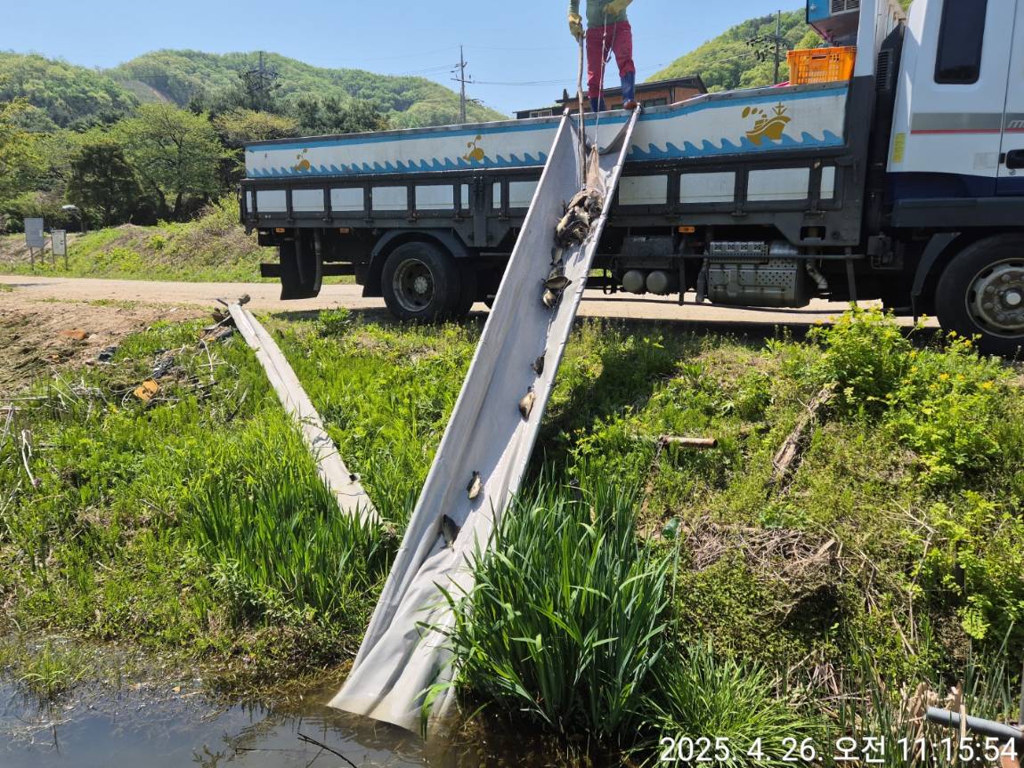 KakaoTalk_20250428_102755287_25.jpg