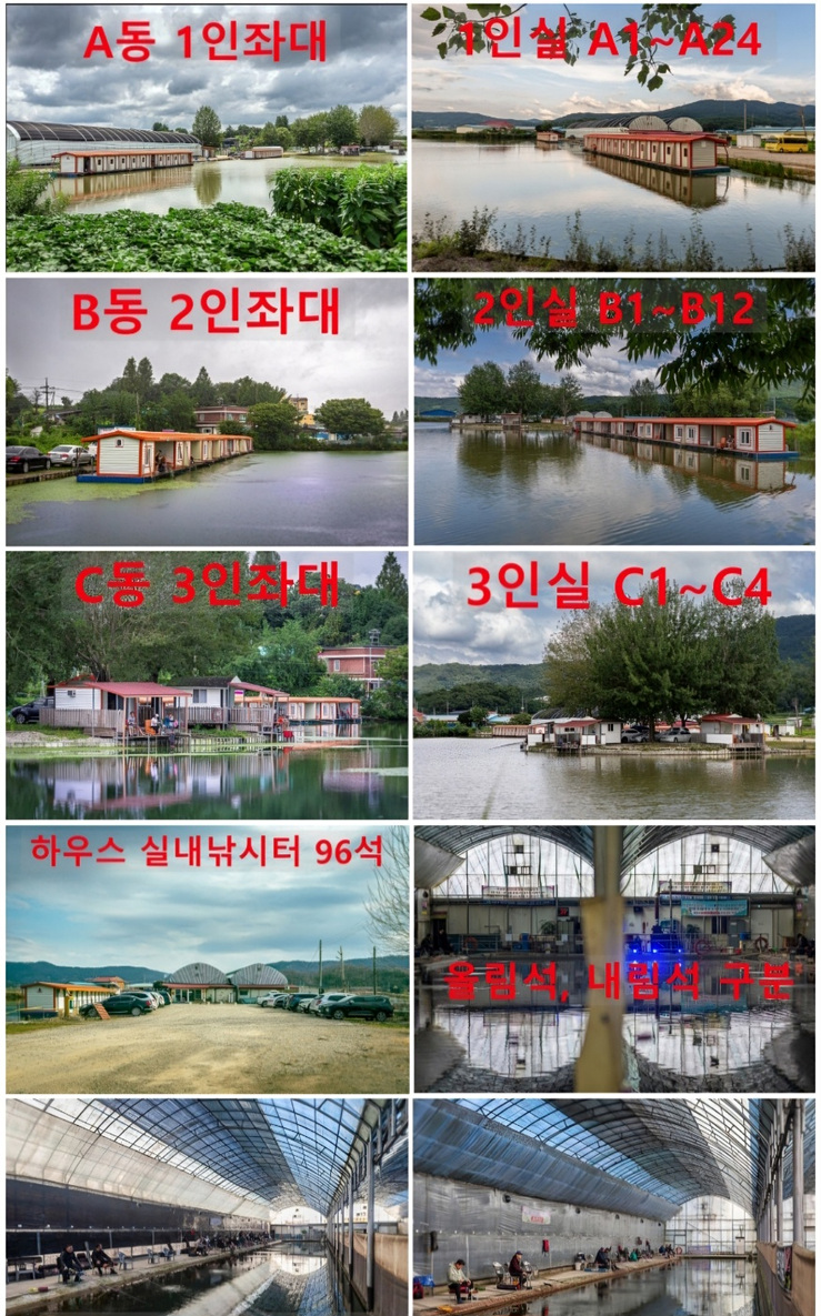 555.jpg