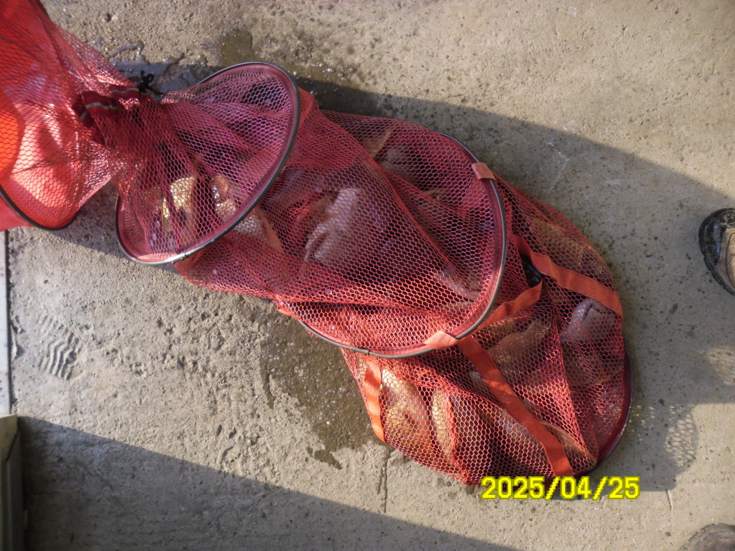 SAM_2007.JPG