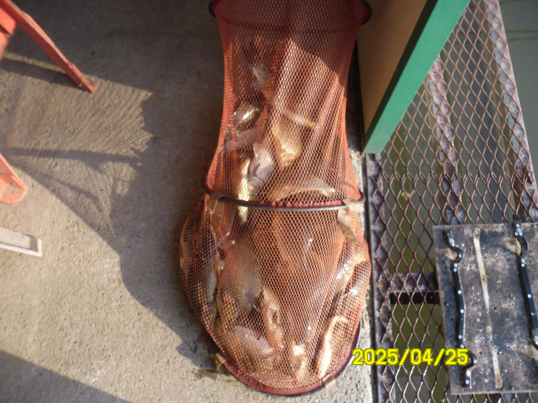 SAM_2012.JPG