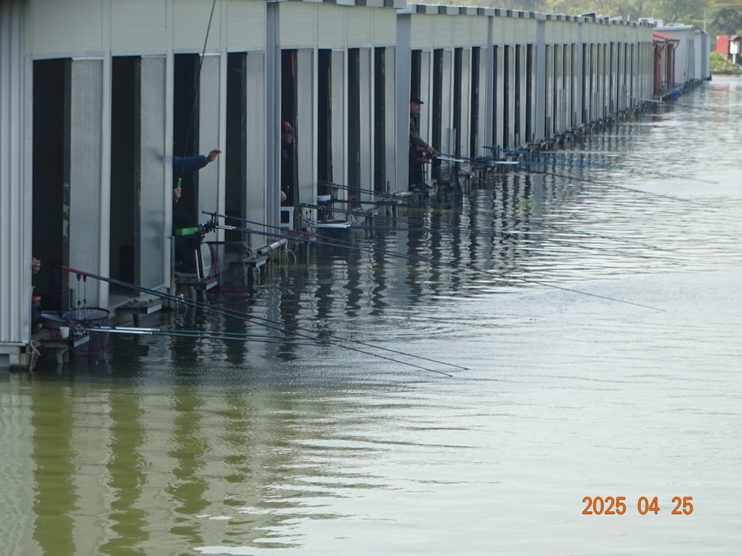 DSC01050.JPG