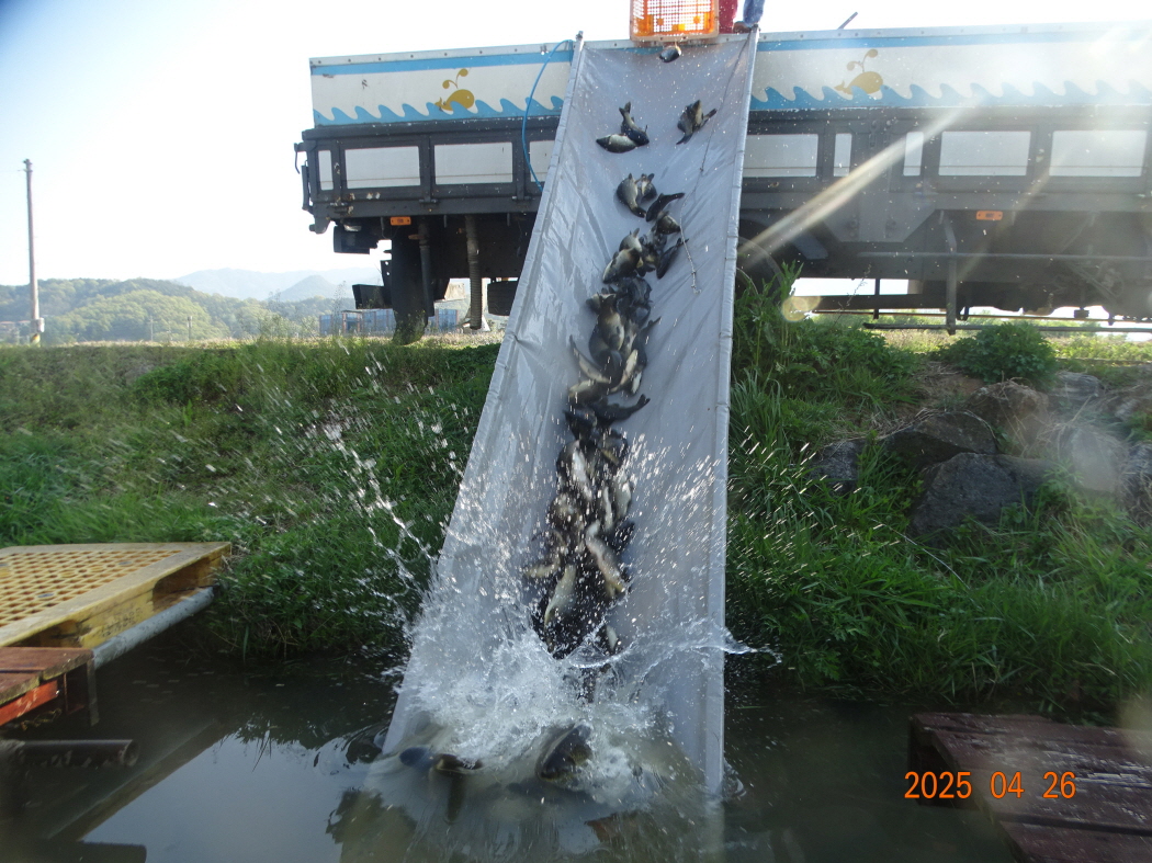 DSC01086.JPG