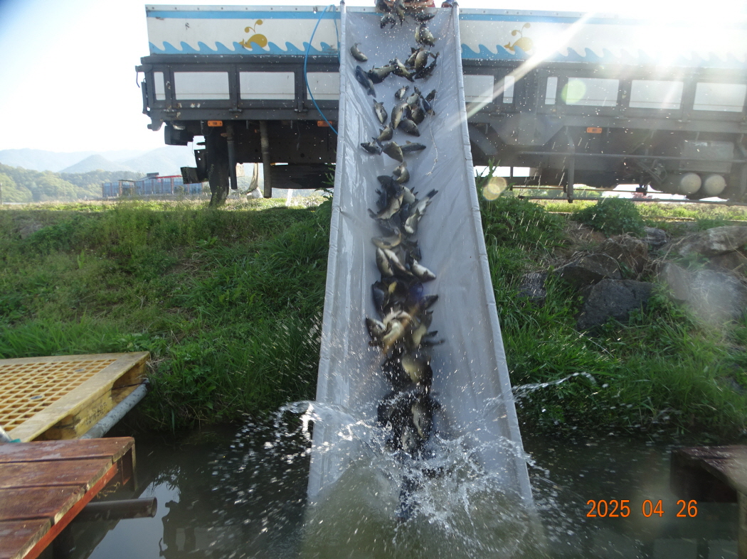 DSC01090.JPG