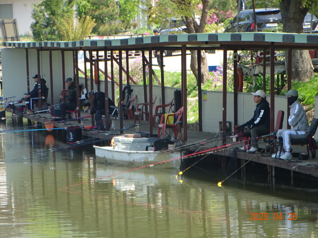 DSC01168.JPG