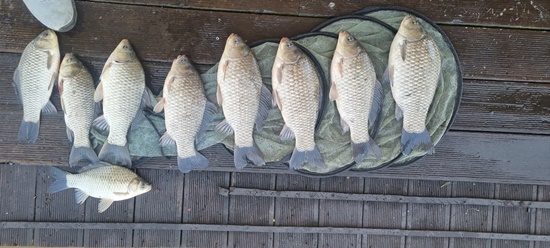 KakaoTalk_20250429_082157854.jpg