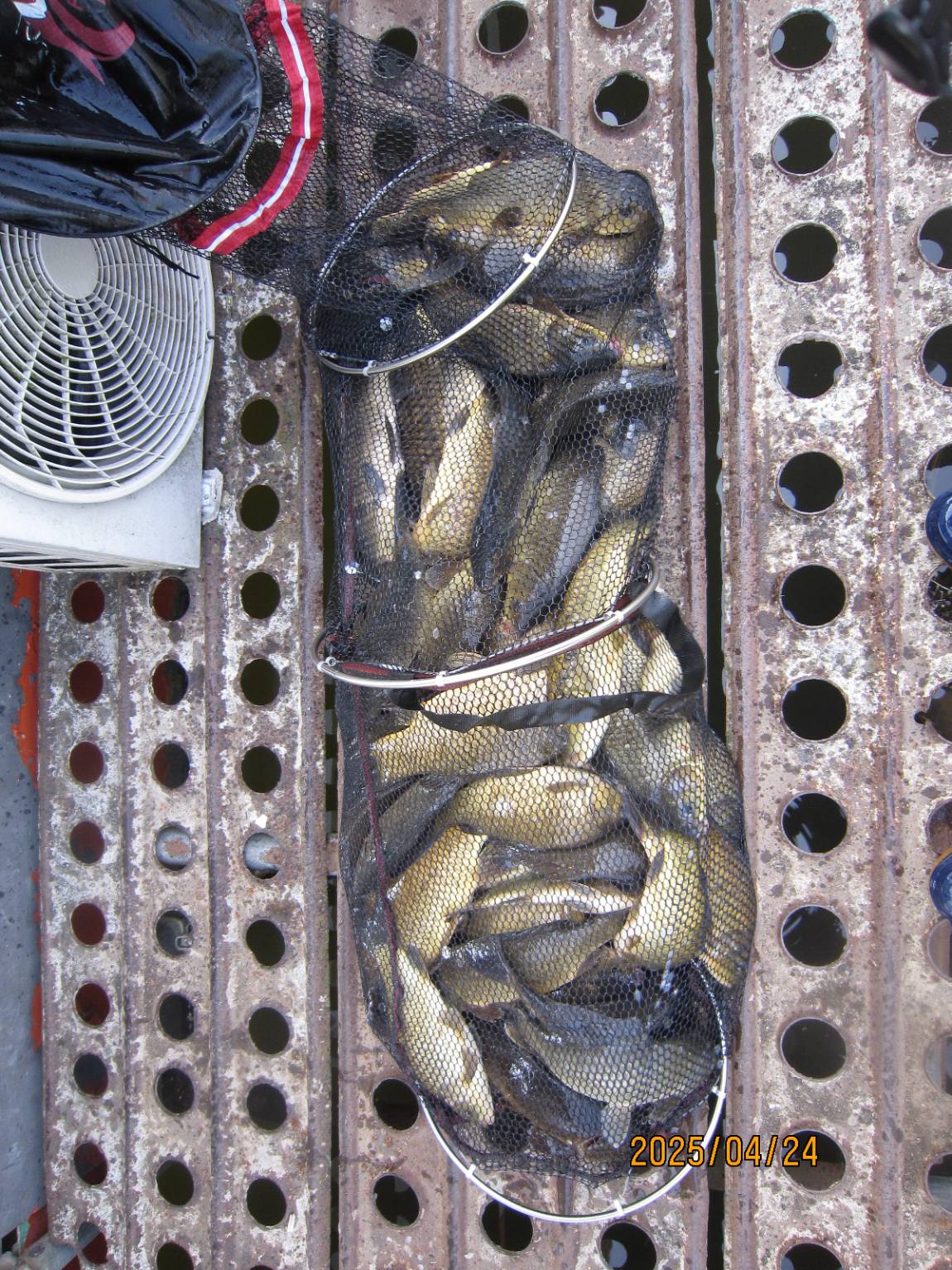 IMG_3836.JPG