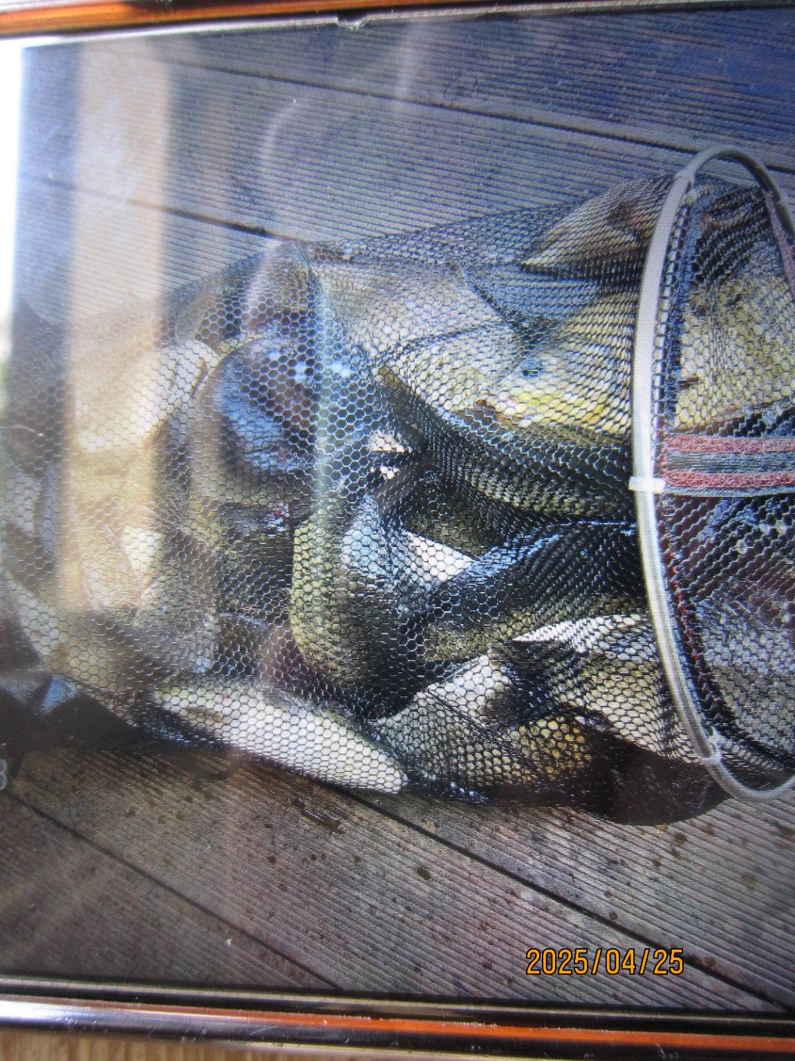 IMG_3846.JPG