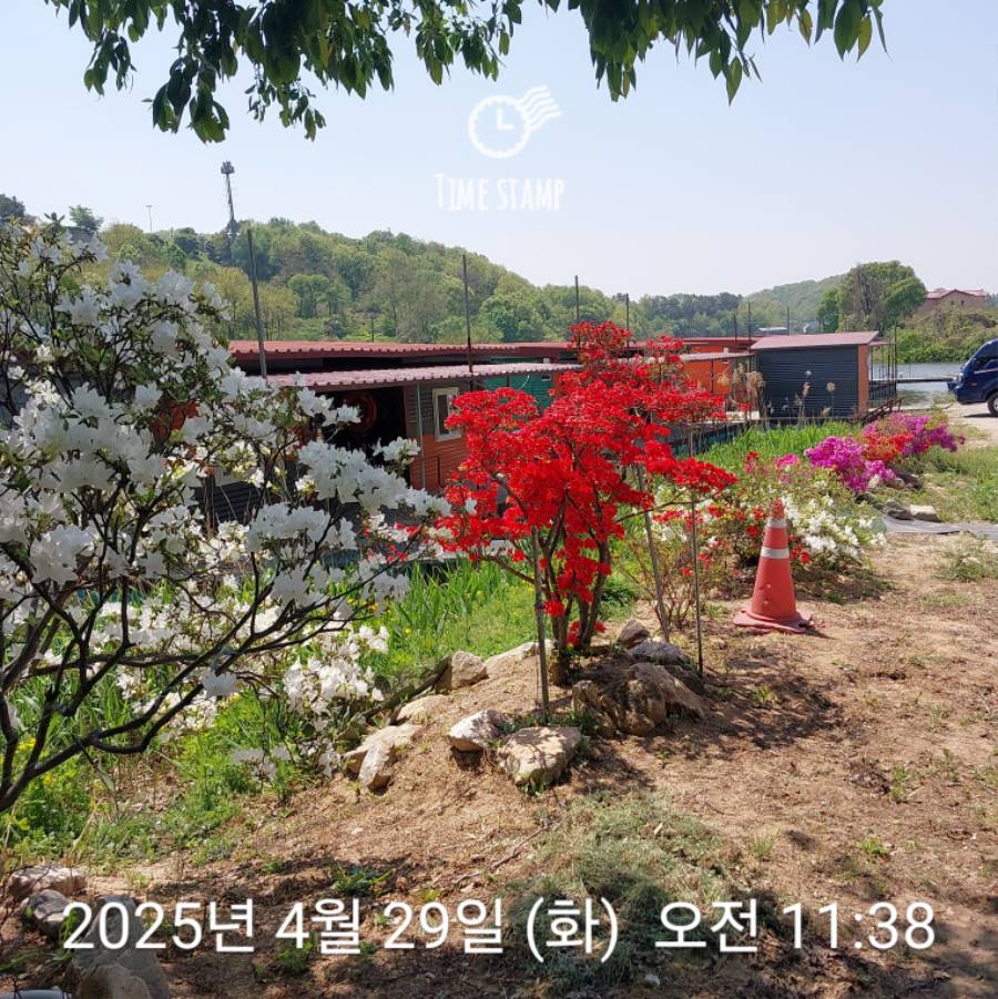 2025-04-29T11_38_54.779.jpg