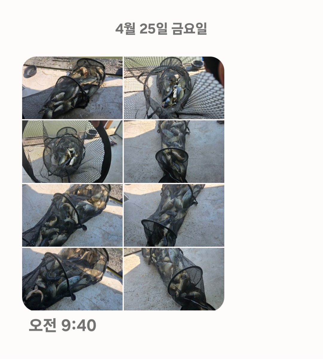 Screenshot_20250425_094124_Messages.jpg