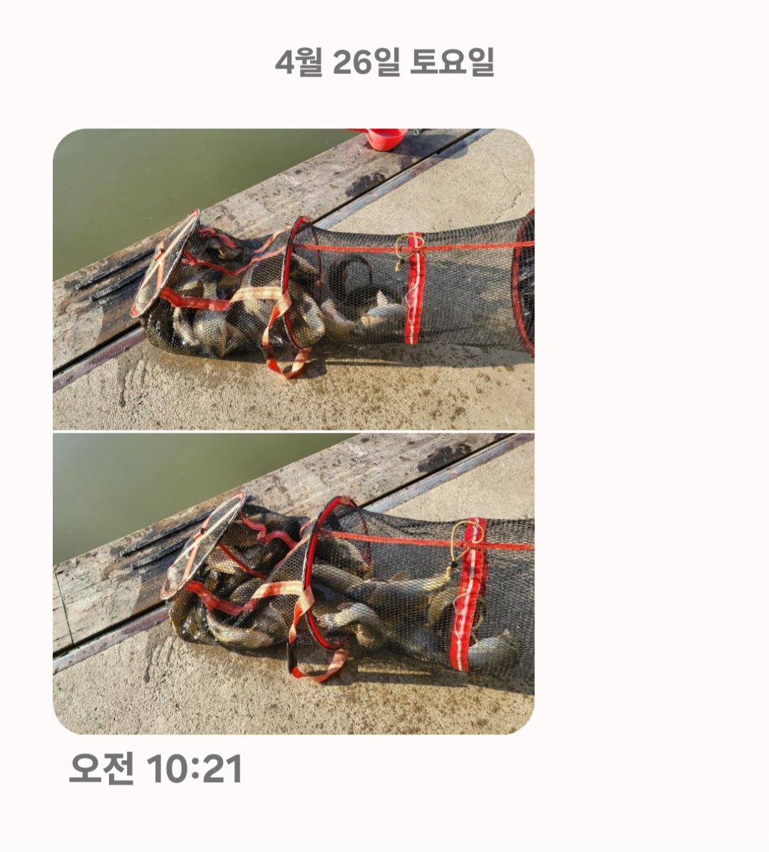 Screenshot_20250426_104005_Messages.jpg