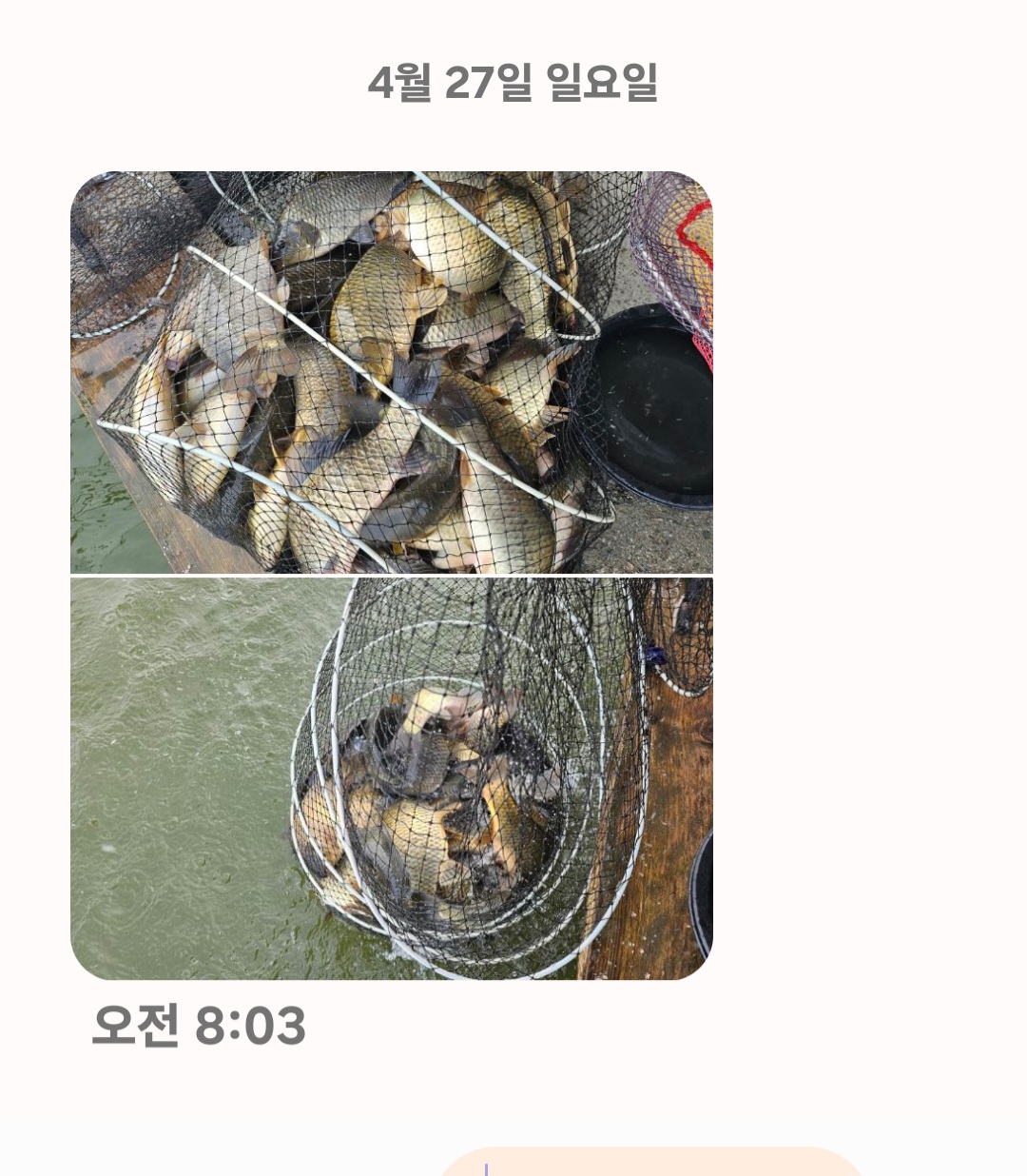 Screenshot_20250427_080522_Messages.jpg