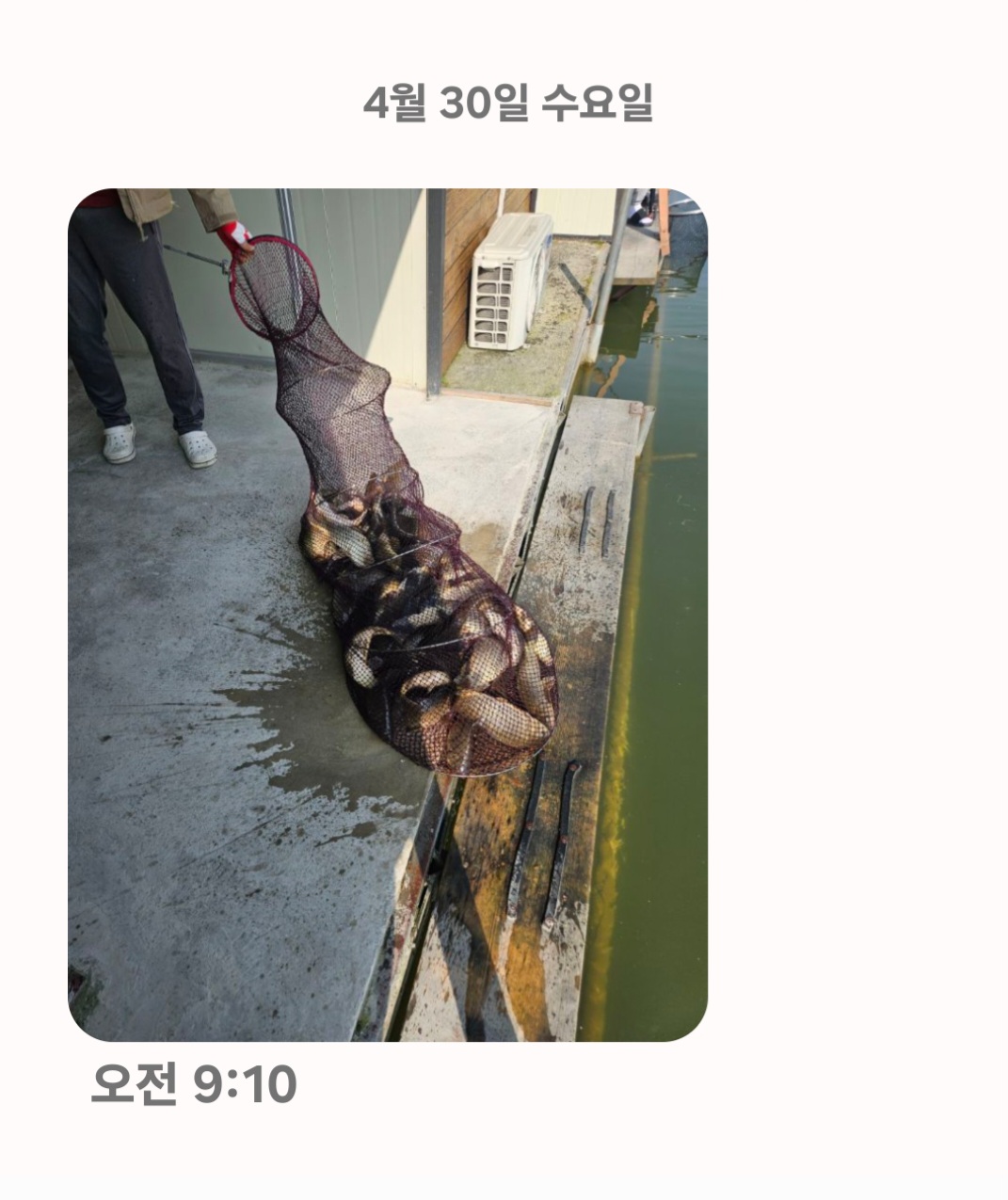 Screenshot_20250430_095444_Messages.jpg