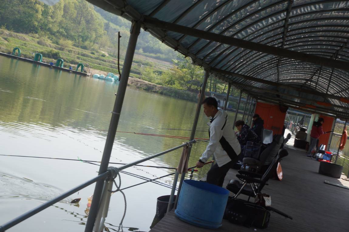 DSC09665.JPG