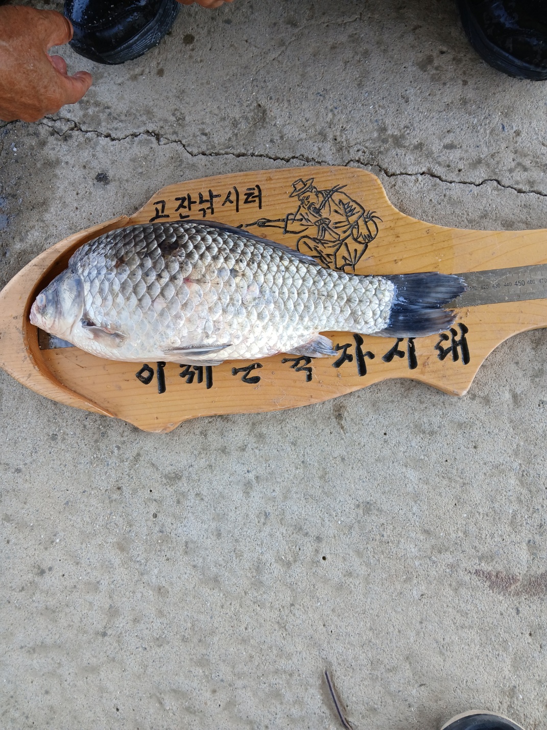 KakaoTalk_20250429_133939619_03.jpg