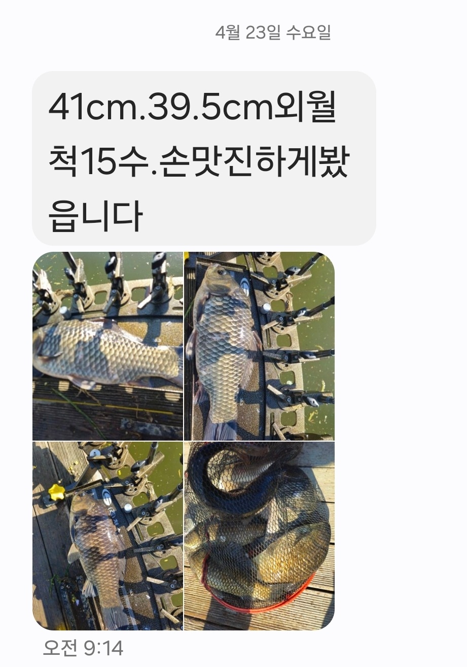 1746074532457-5.jpg