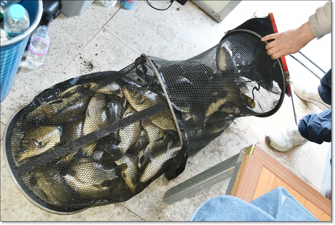 DSC_1850.JPG