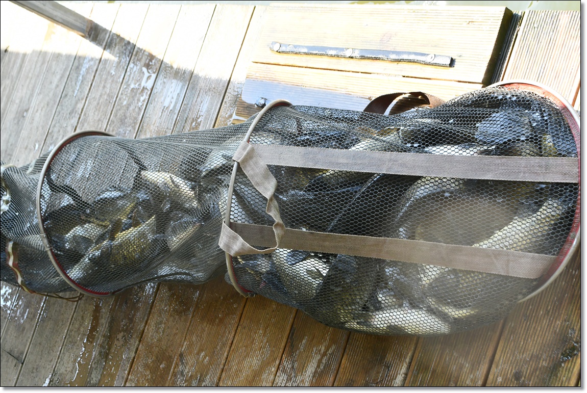 DSC_1857.JPG