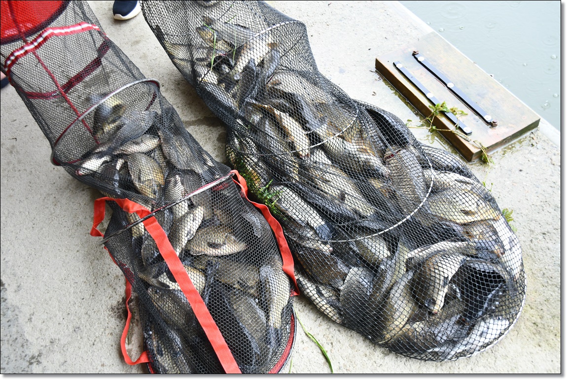 DSC_1882.JPG