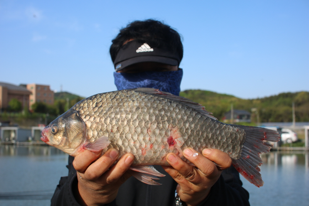 [크기변환]IMG_3346.JPG
