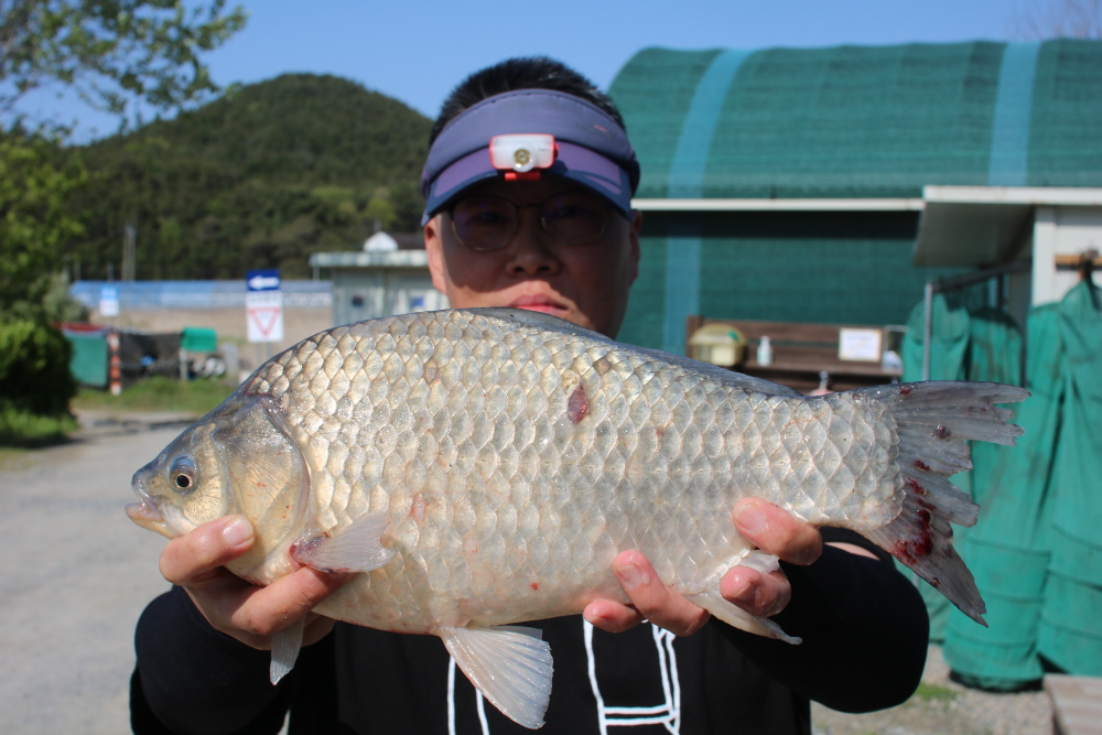[크기변환]IMG_3375.JPG