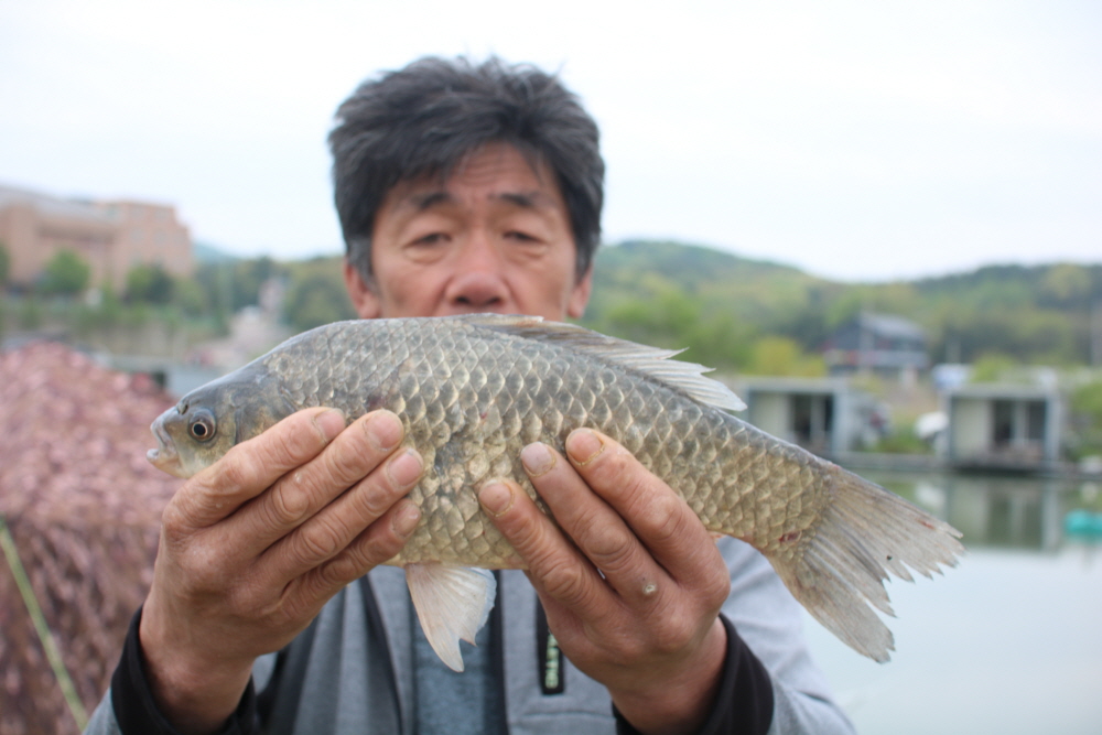 [크기변환]IMG_3412.JPG