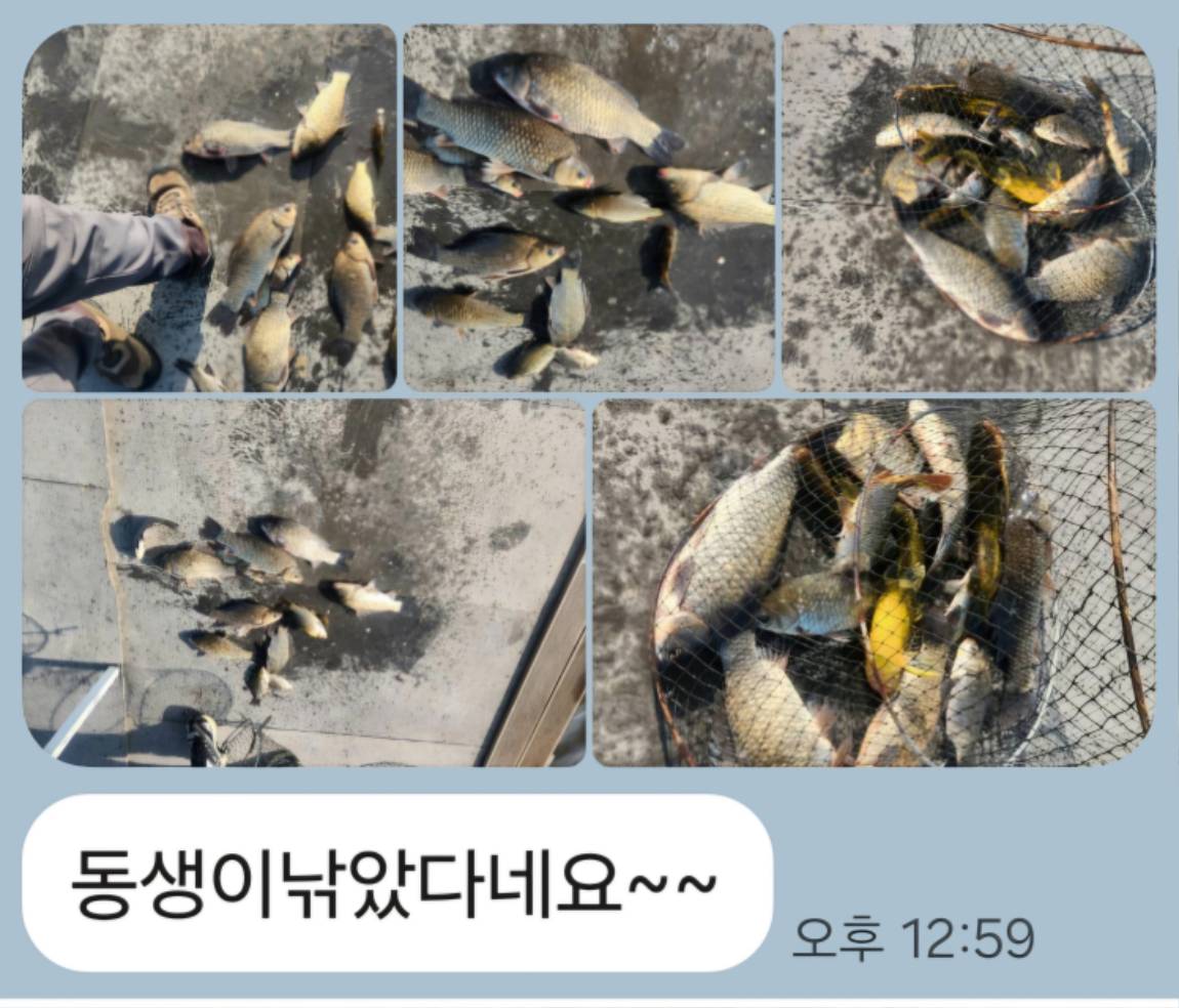 Screenshot_20250504_130004_KakaoTalk.jpg