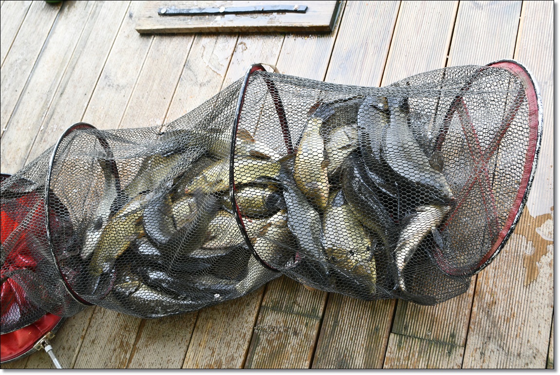 DSC_1952.JPG