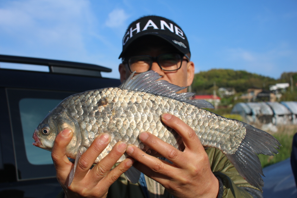 [크기변환]IMG_3518.JPG