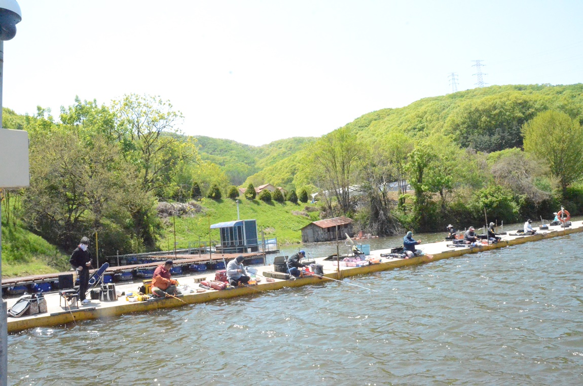 DSC_2893.JPG