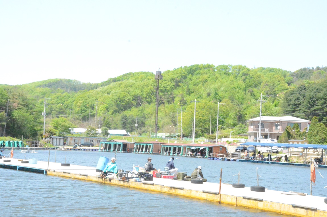 DSC_2908.JPG