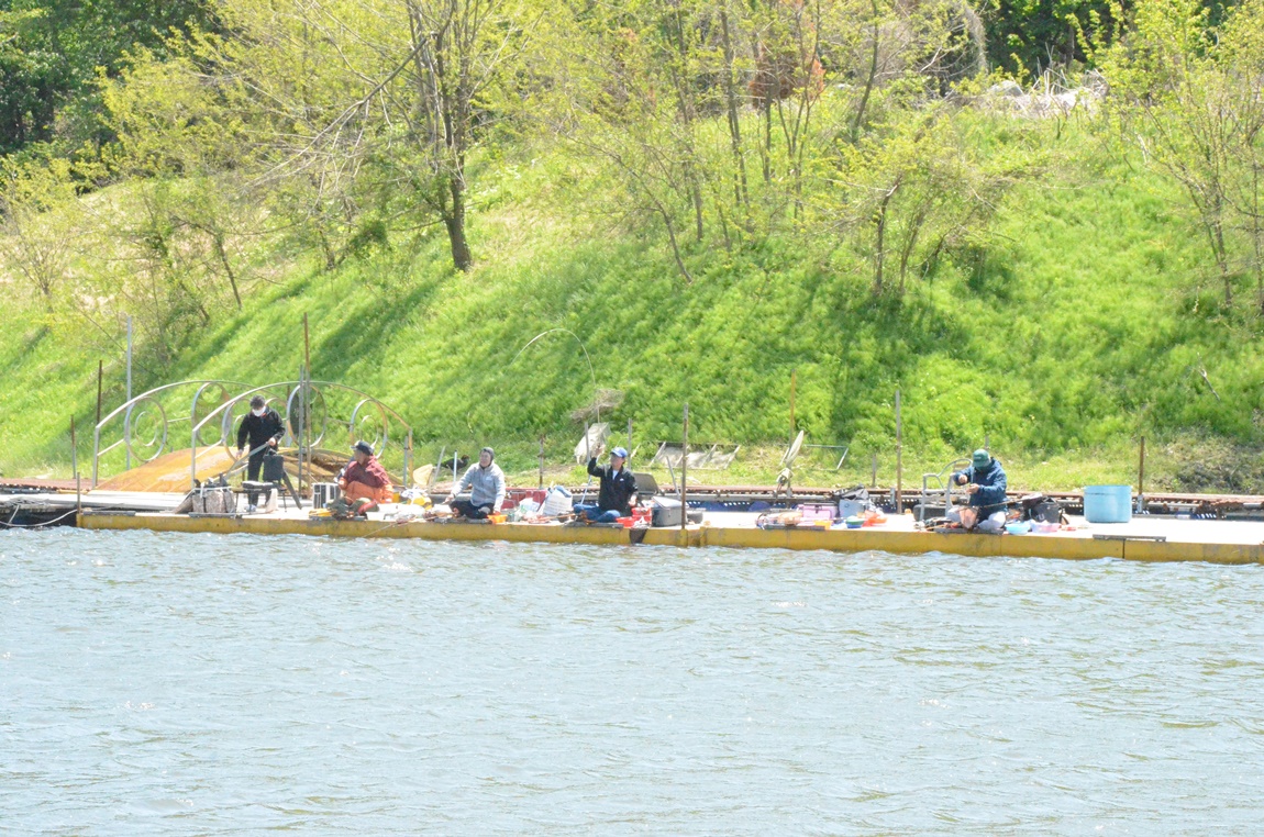 DSC_2919.JPG