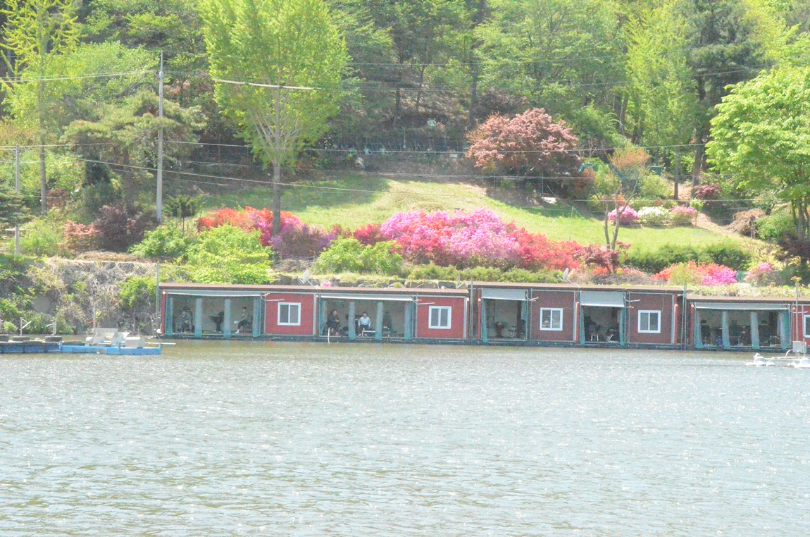 DSC_2932.JPG